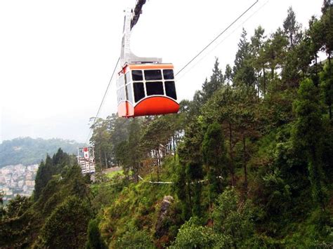 Top Darjeeling Tour Packages with Price - Hello Travel Buzz