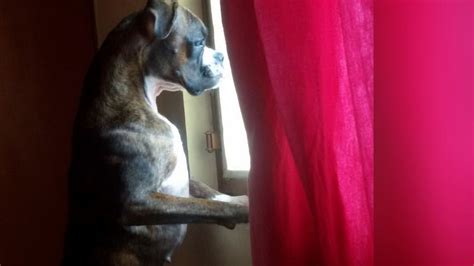 Petition · Strict action against Resident & Apartment Associations that ...