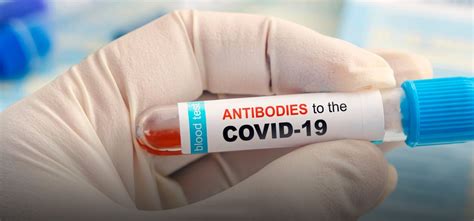 COVID-19 Patients Retain Cellular Immunity For At Least 6 Months, Says ...