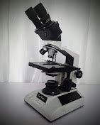 Bethel Diagnostics - Advanced Blood Testing & Digital X-Ray Services