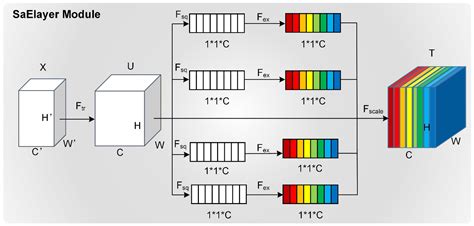 SER-YOLOv8: An Early Forest Fire Detection Model Integrating Multi-Path ...