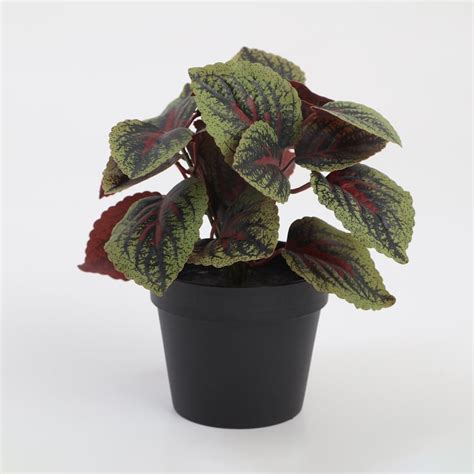 Buy Garnet Garden Artificial Mammy Croton Plant in Pot from Home Centre ...