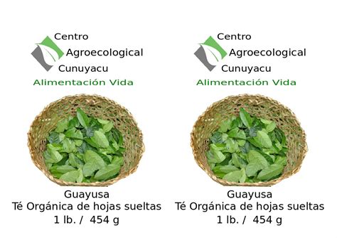 Guayusa en Richard Cueva Alvarado de Ecuador - ppfam.com
