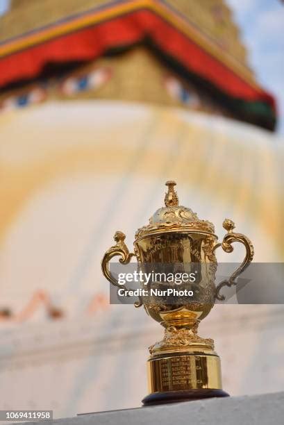 Rugby World Cup Trophy 的图像结果