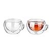 Buy EMERGE Double Wall Insulated Heat Resistant Borosilicate Clear Tea ...