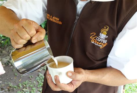 “Vive el mejor momento” con el café - TSM Noticias