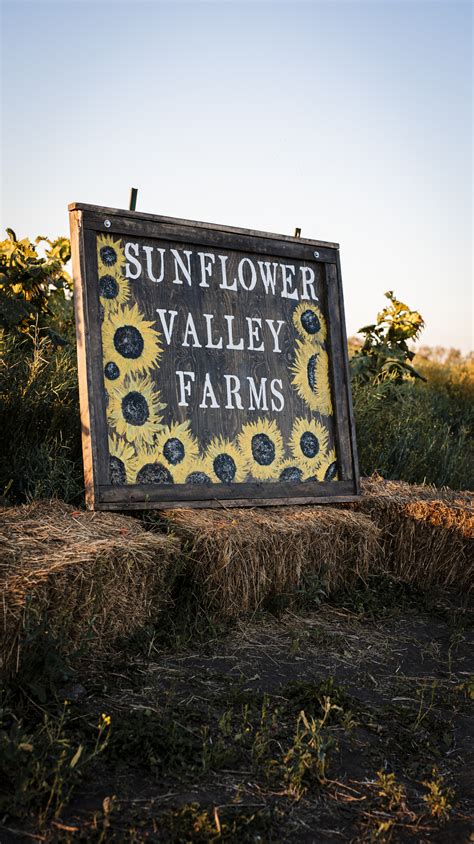 5 Places You Can Visit In Lacombe County During The Harvest Season ...