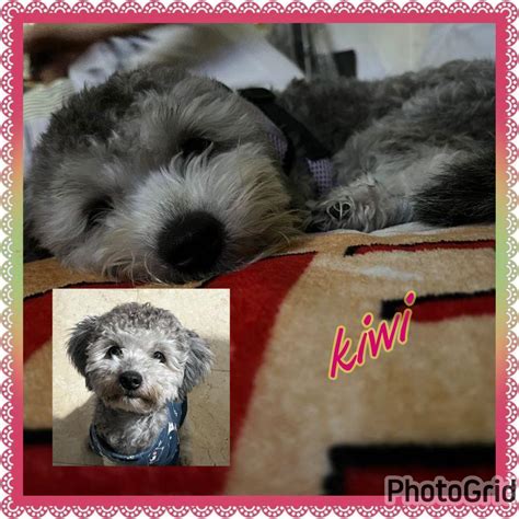 How to Customize Your Logitech Keyboard 的图像结果