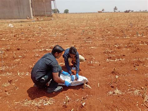 Environmental Field Data Collection Services | Environmental Health and ...