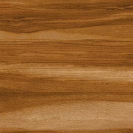 CARE TEAK - MATT (CARE TEAK - MATT)