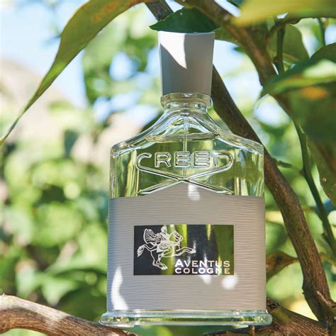 Creed Aventus Cologne Eau de Parfum – Perfume Network India