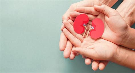 3 Habits for a Healthy Kidney - World Kidney Day