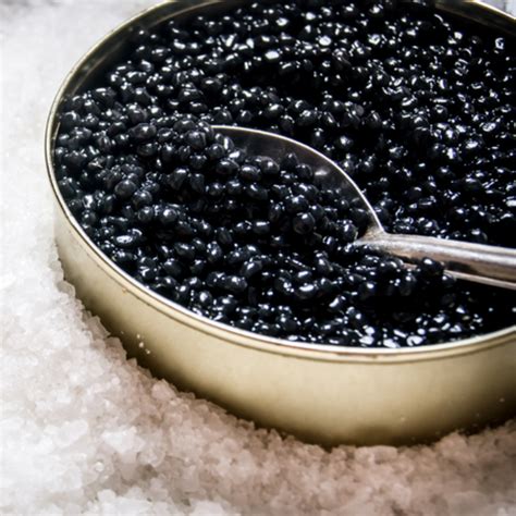 Exquisite World of White Sturgeon Caviar: Origins, Taste & Culinary Uses
