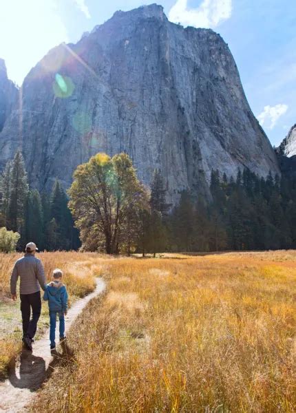 Amazing Views Adventure 的图像结果