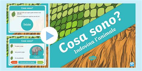 Cosa sono? Indovina l'animale