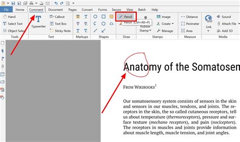 Image result for How to Draw On PDF File