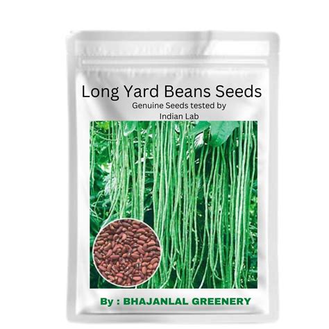 Bhajanlal Greenery Vegetable Seeds Rare Hybrid Yard Long Bean Anaswara ...