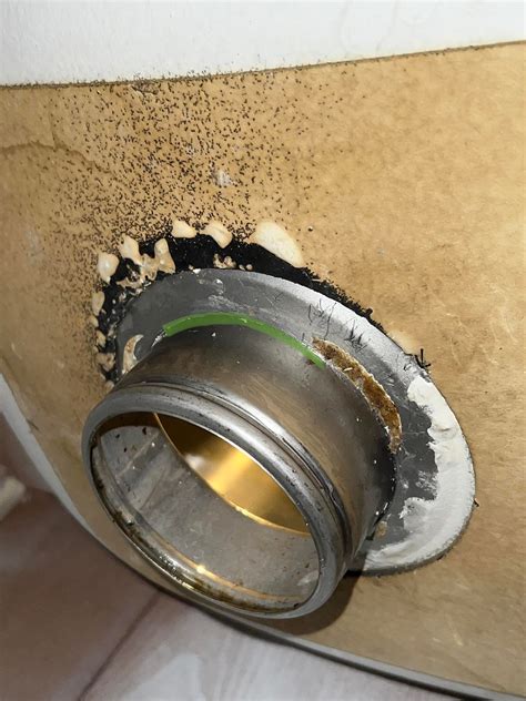 How to remove garbage disposal sink flange stuck to drain hole? : r ...