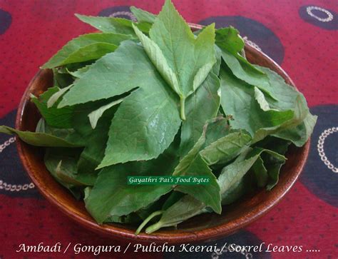 Gayathri Pai's Food Bytes: Pudina Gongura Chutney.