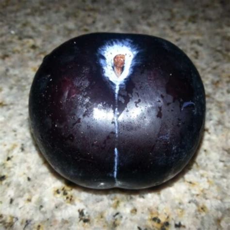 Plum Calories Per Piece at Kayla Frayne blog