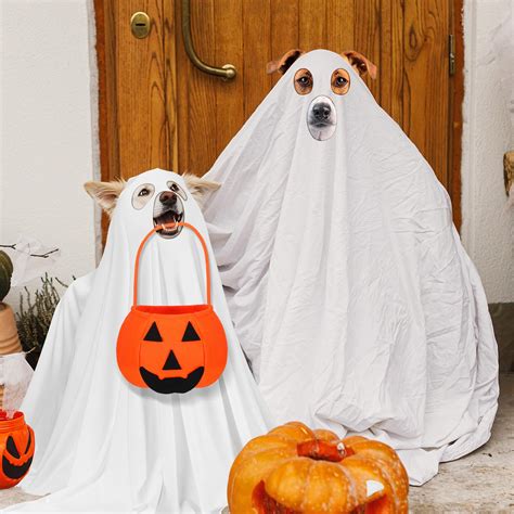 Best Halloween Costumes Ghost Dog 11 Dog Ghost Costume Ideas For Your