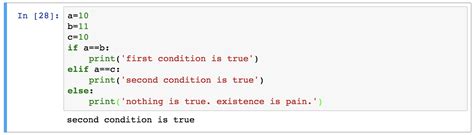 Image result for Python If Sample