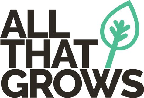 Step-by-Step Guide: How to Grow Beautiful Lawns from Seed in India ...