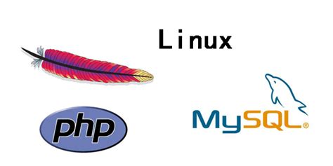 Linux+Apache+Mysql+PHP优化技巧 - 龟仙人 - 博客园