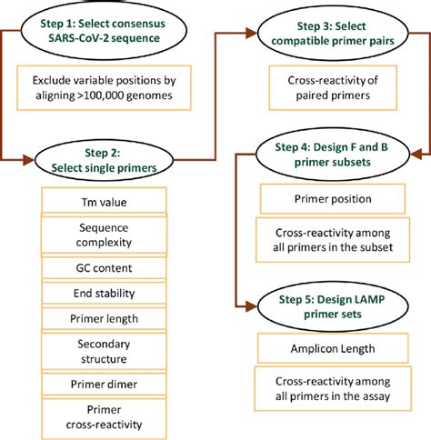 Primer Design Step by Step 的图像结果