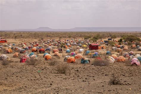 East Africa on verge of worst drought in decades