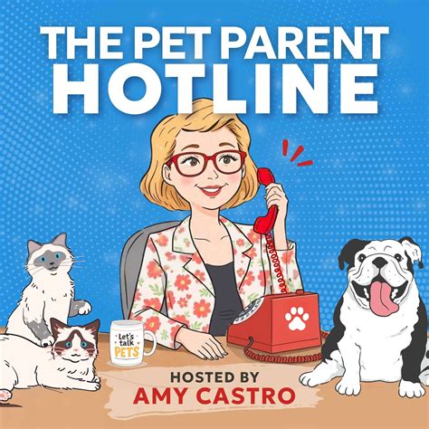 Stop Overpaying for Grooming: What You Can DIY vs Leave to the Pros - Listen Now on The Pet ...