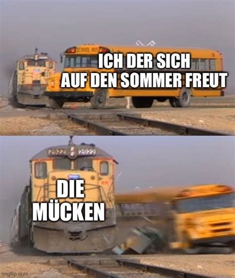 Sommerfreude versus Mücken - Memes - Schlechte Witze