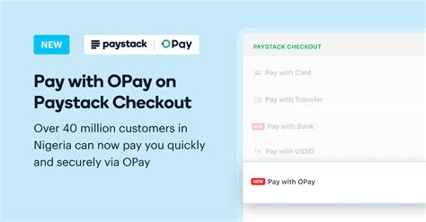 Image result for Paystack CheckOut