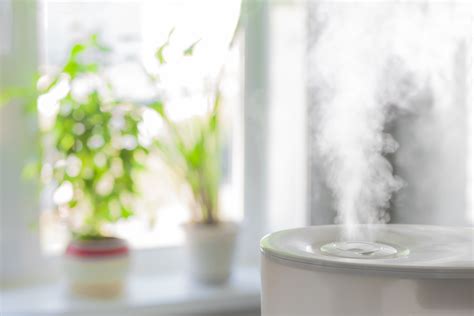 Humidifier 的图像结果