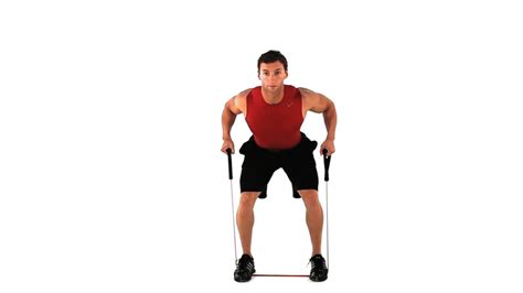Image result for Good Back Workouts Using Bands