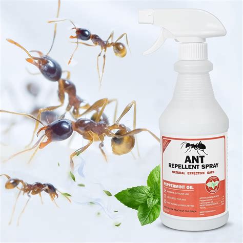 Buy 16oz Ant Killer and Repellent Indoor Spray with Natural Peppermint ...