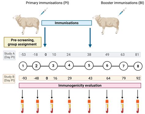 Evaluation of Immunogenicity of an Orf Virus Vector-Based Vaccine ...