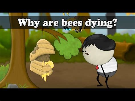 Image result for Colossal Questions Channel Animals