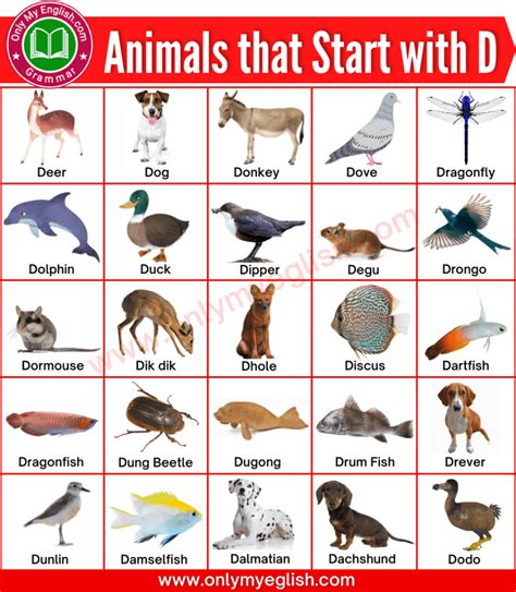 Alphabetical List Of Airlines