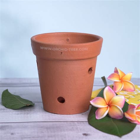Terracotta Pots – Orchid-Tree