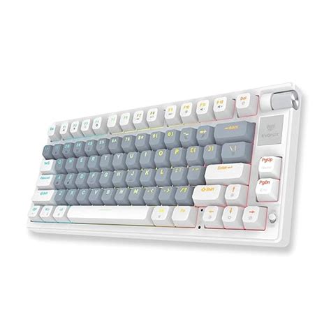 EvoFox Ronin Wireless TKL Mechanical Keyboard (BT+2.4GHz+Wired ...