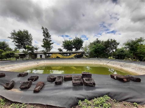 Climate resilient, better yield and steady income: The bounties of a ...