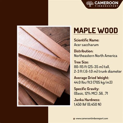 Maple Wood For Sale at Betty Bauer blog
