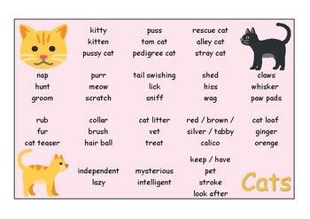ESL Colorful cats vocabulary word mat by Green Apple | TPT