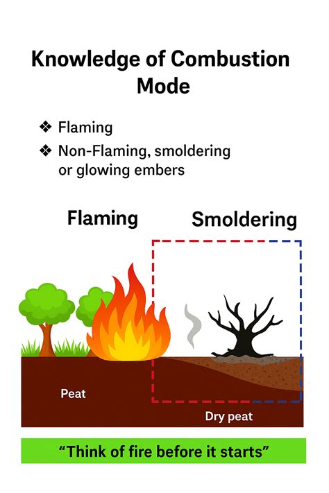Understanding the Stages of Fire: From Incipient to Flame Stage - Geca ...