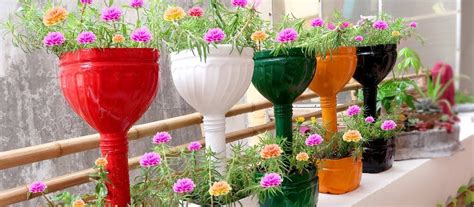 Choose Best Plant Container For Your Urban Garden - Home Hyme