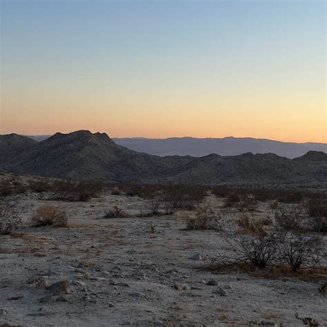 Sheephole Valley Wilderness Camping | Twentynine Palms, California