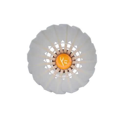 HUNDRED F1 (10 in 1 ) FEATHER SHUTTLE COCK – JAGA TRADERS