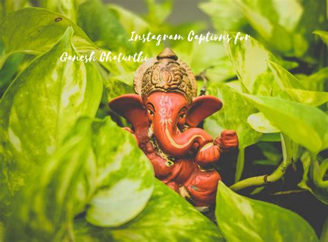 50+ Thankyou Messages You Can Say To Anyone – WeavingHomes