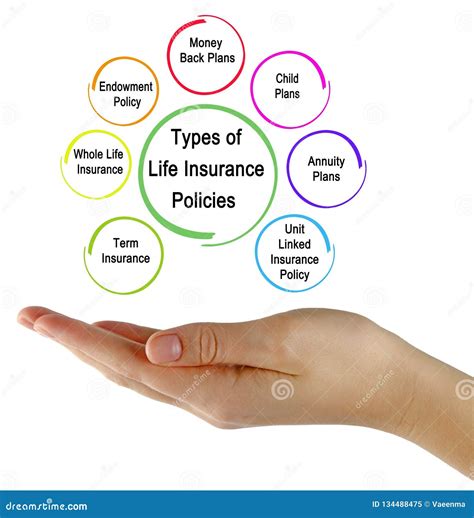 Types of Life Insurance 的图像结果